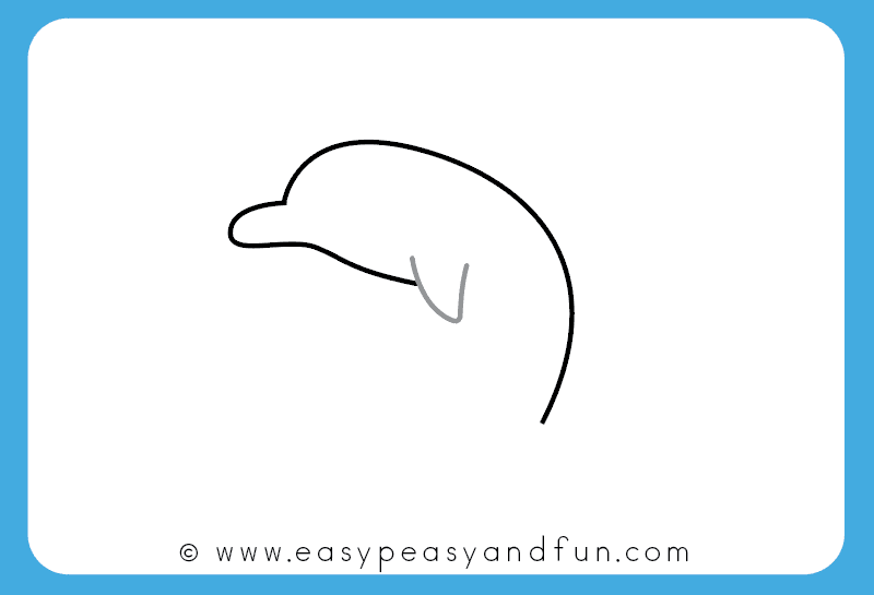800x545 How To Draw A Dolphin Step By Step For Kids + Printable