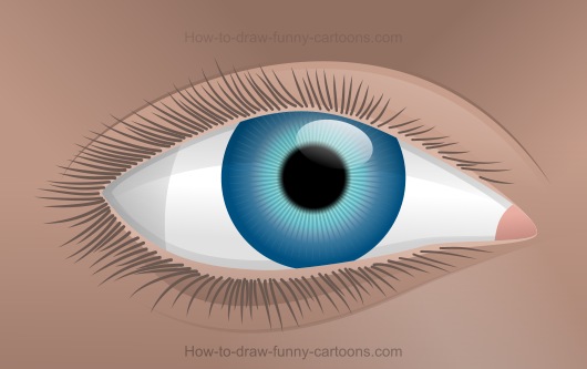 530x333 How To Draw An Eye