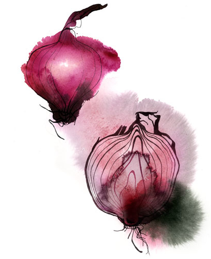 412x506 Red Onions Watercolor By Christina Drejenstam