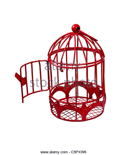 444x540 Bird Cage Open Stock Photos Amp Bird Cage Open Stock Images