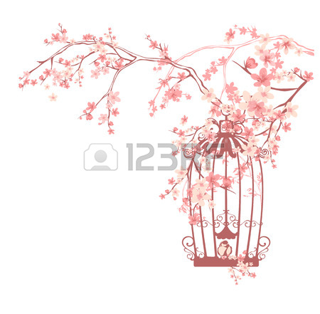 450x441 Bird Cage Open Stock Photos. Royalty Free Business Images