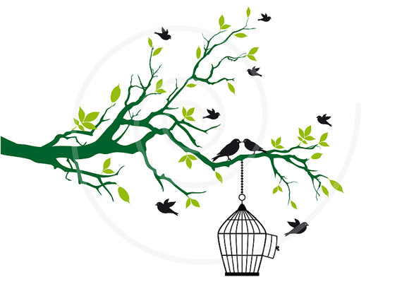 570x399 Free Birds With Open Birdcage On Tree Branch Green Leaves