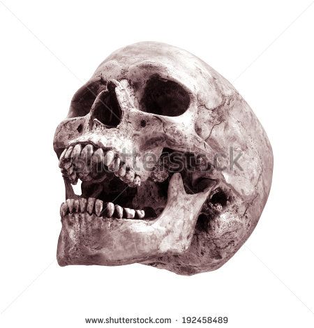 450x470 Human Skull Open Mouth