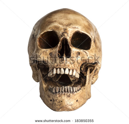 450x433 Skull Looking Up Mouth Open