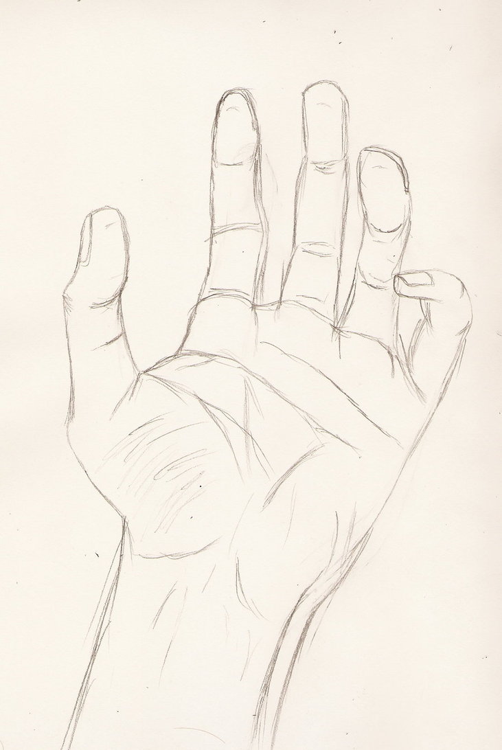 731x1092 Figure Drawing Attempt 3 Hand By Theiiofswords