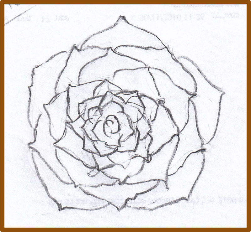 800x741 Weekly Doodles And Tuts How To Draw A Rose Additional Links