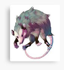 210x230 Opossum Drawing Canvas Prints Redbubble