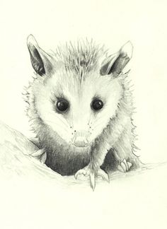 236x324 Our Furry Amp Feathered Friends Inspire Love Amp Creativity In Us All