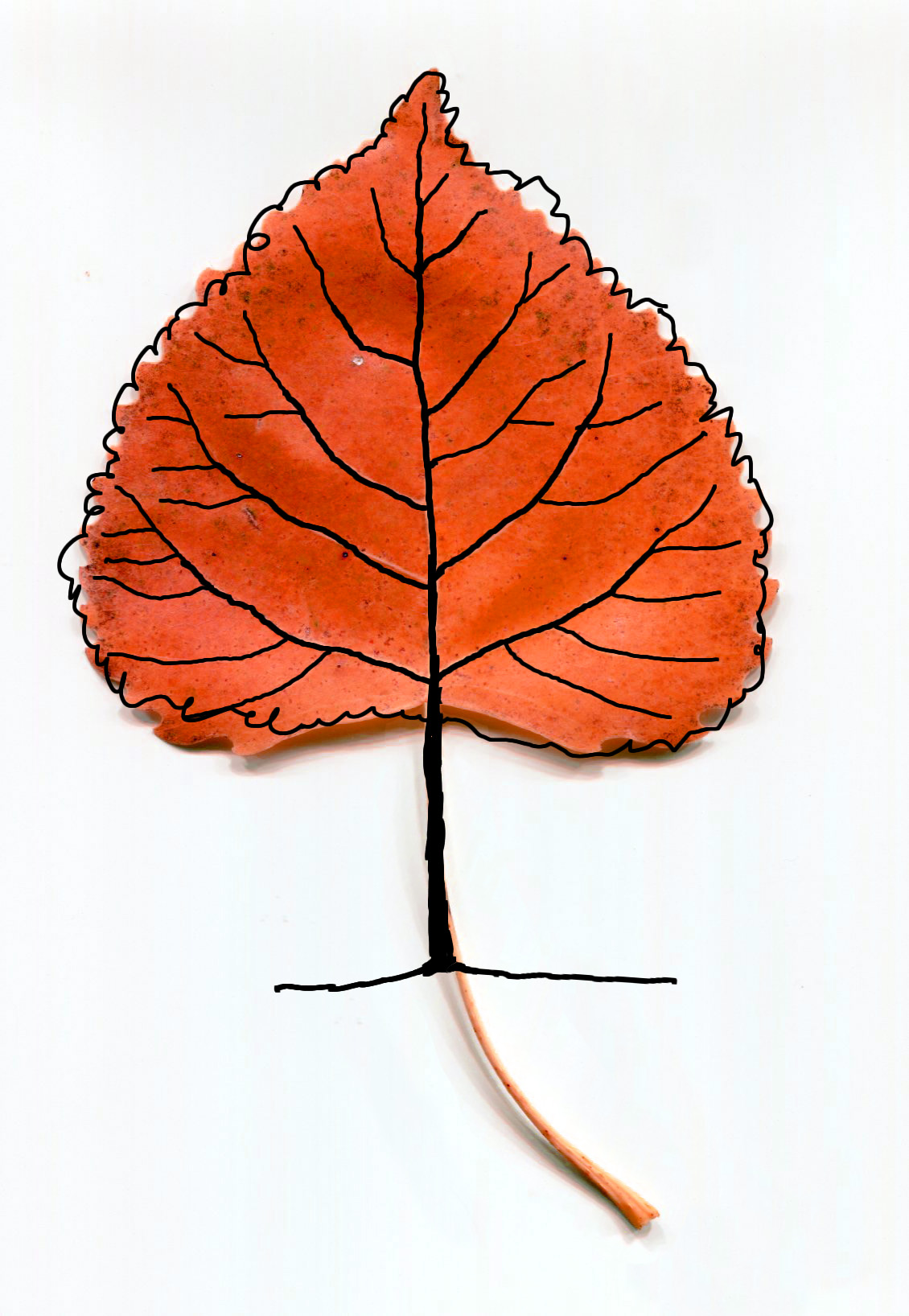 1130x1636 Draw With Rich Fun Step By Step Cartoon Drawings And Videos By