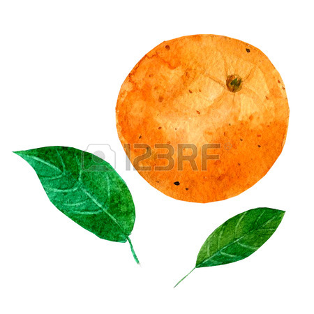 450x450 Watercolor Illustration Depicting A Bright Orange. Drawing