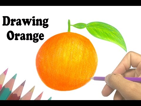 480x360 How To Draw Fruits