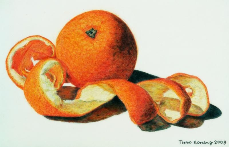 800x516 Orange Fruit Watercolor Drawing Amp Watercolor