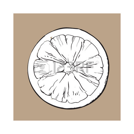 450x450 Top View Round Slice, Half Of Ripe Grapefruit, Red Orange, Sketch