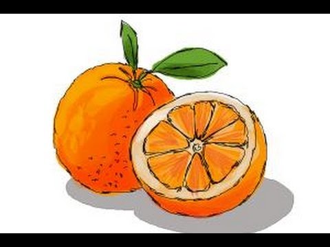 480x360 How To Draw An Orange