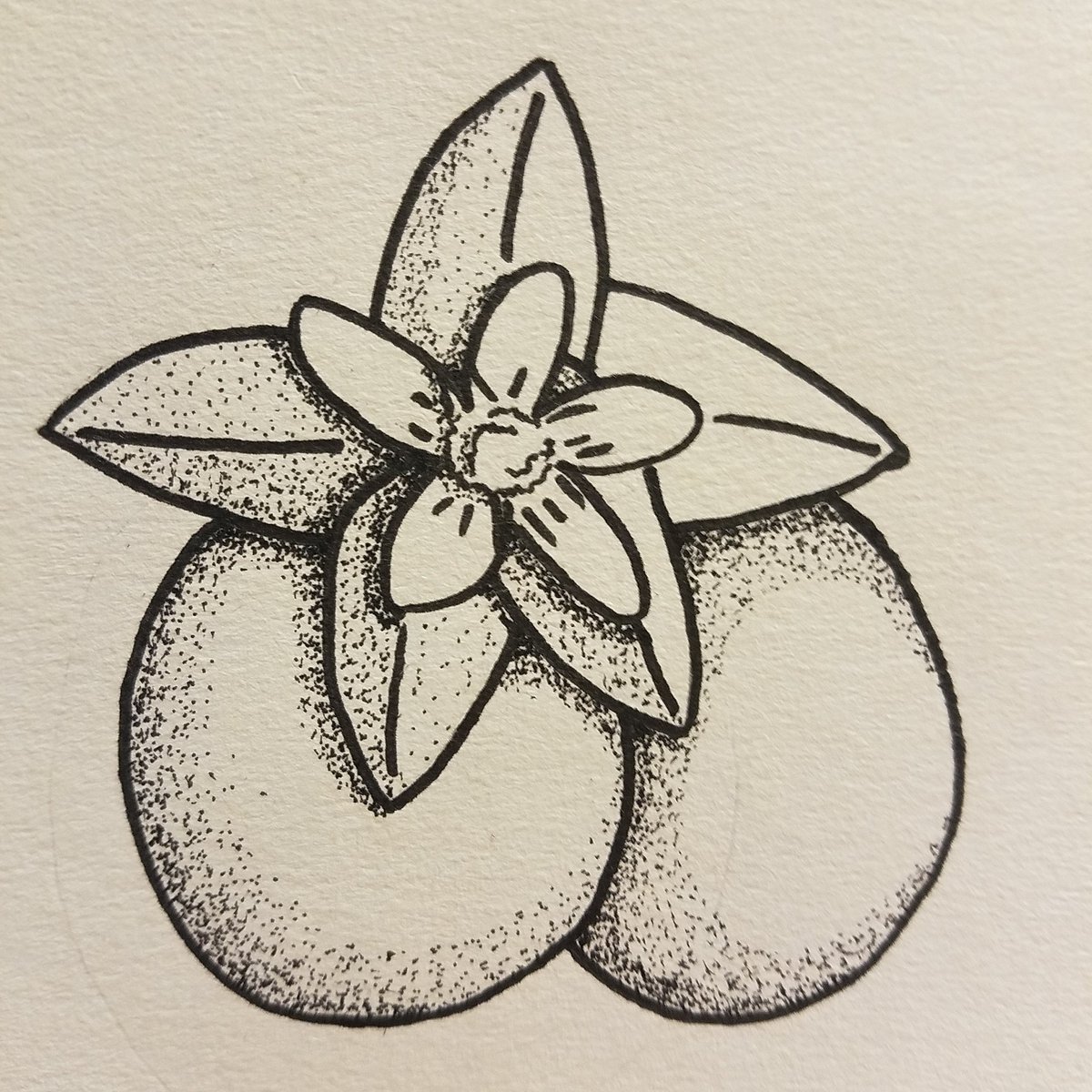 1200x1200 Pete T Punk On Twitter I Really Hate My Drawings, But I Have