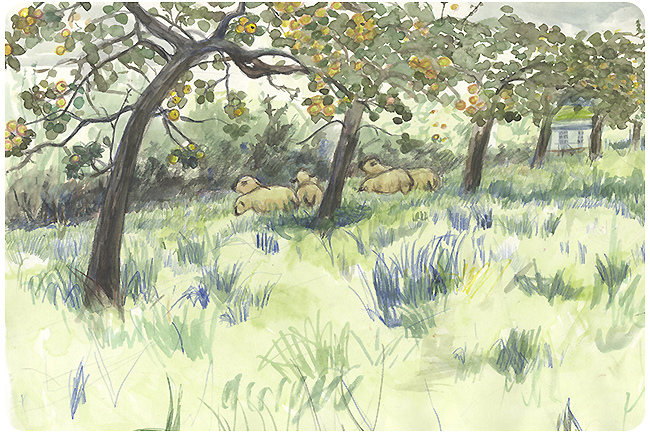 650x434 Sketchbook Sarah Lodge Illustration