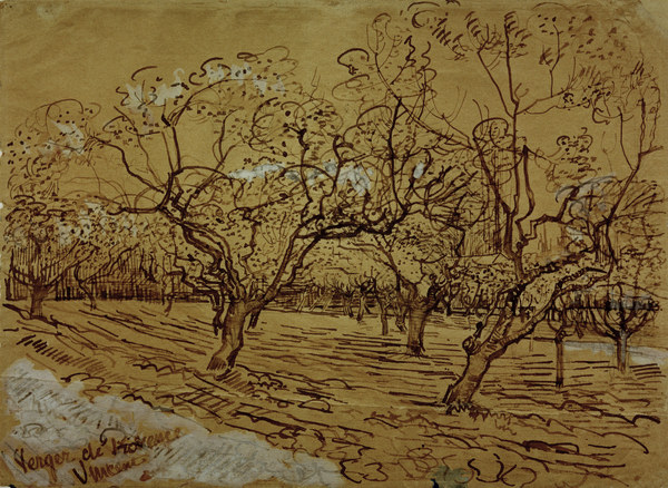 600x438 V.van Gogh, Orchard Drawing 1888