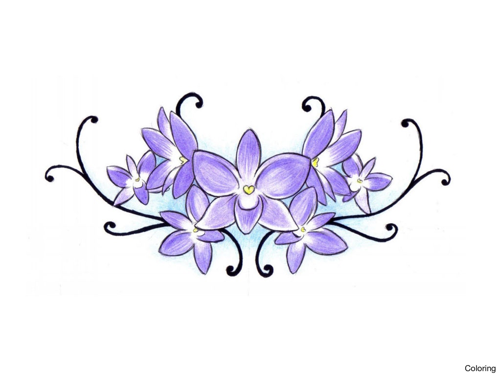 1024x768 Flower Template Color Sheets Simple Orchid Drawing Coloring Free