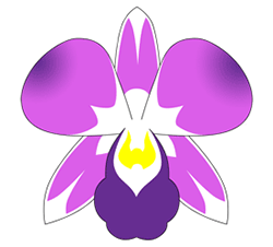 250x226 Thai Orchid Drawing