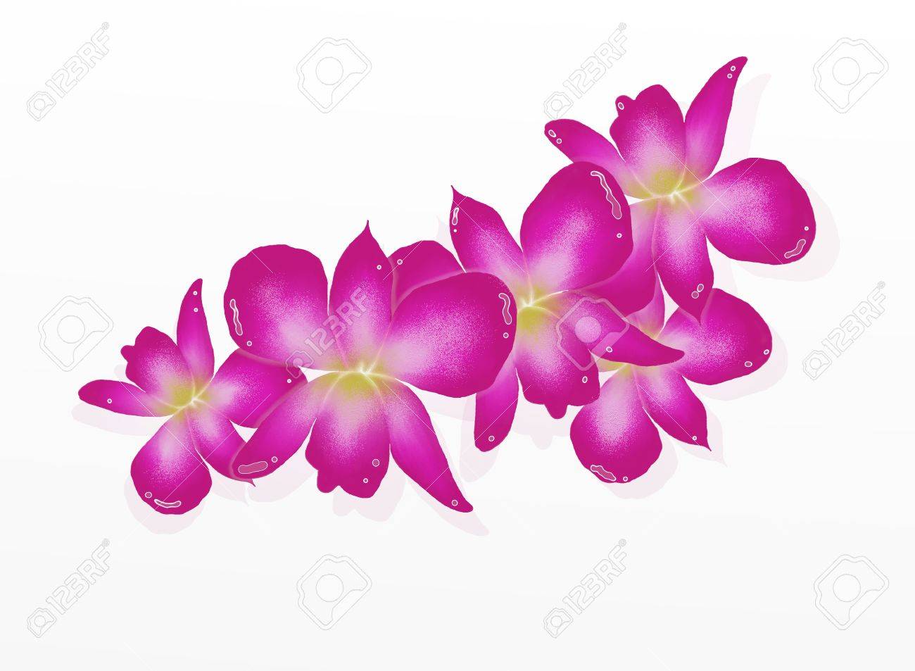 1300x953 Hand Drawing Of Beautiful Pink Orchids, A Symbol Of Love
