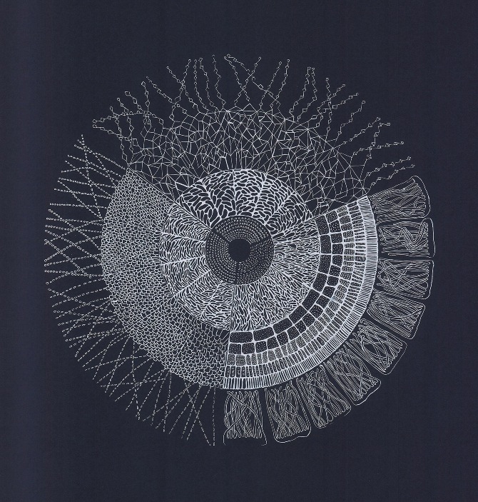 670x703 Untitled (Organic Drawing)