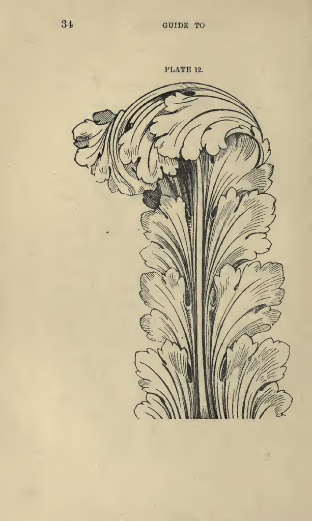 613x1024 Step By Step Drawing Ornate Frames And More Drawing Ideas, Draw