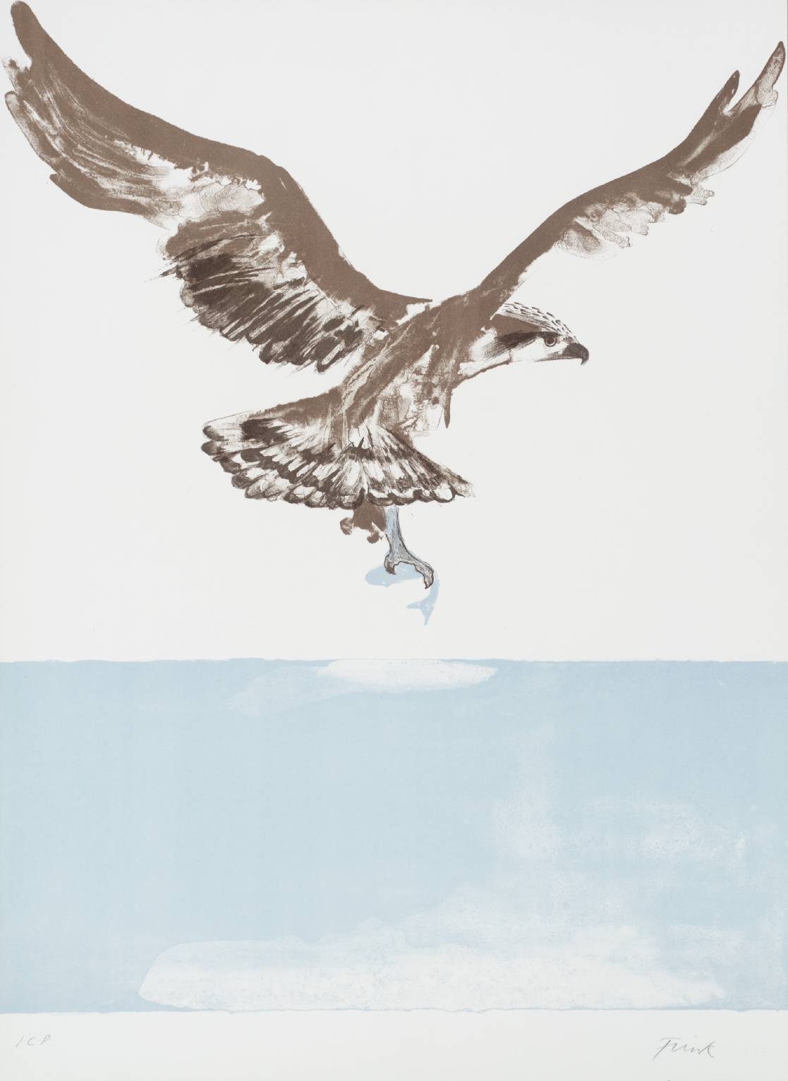 1117x1532 I Have A Thing For Osprey Love The Colors Here For Ken