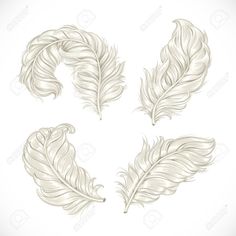 236x236 Peacock Feather By Loujah On Art