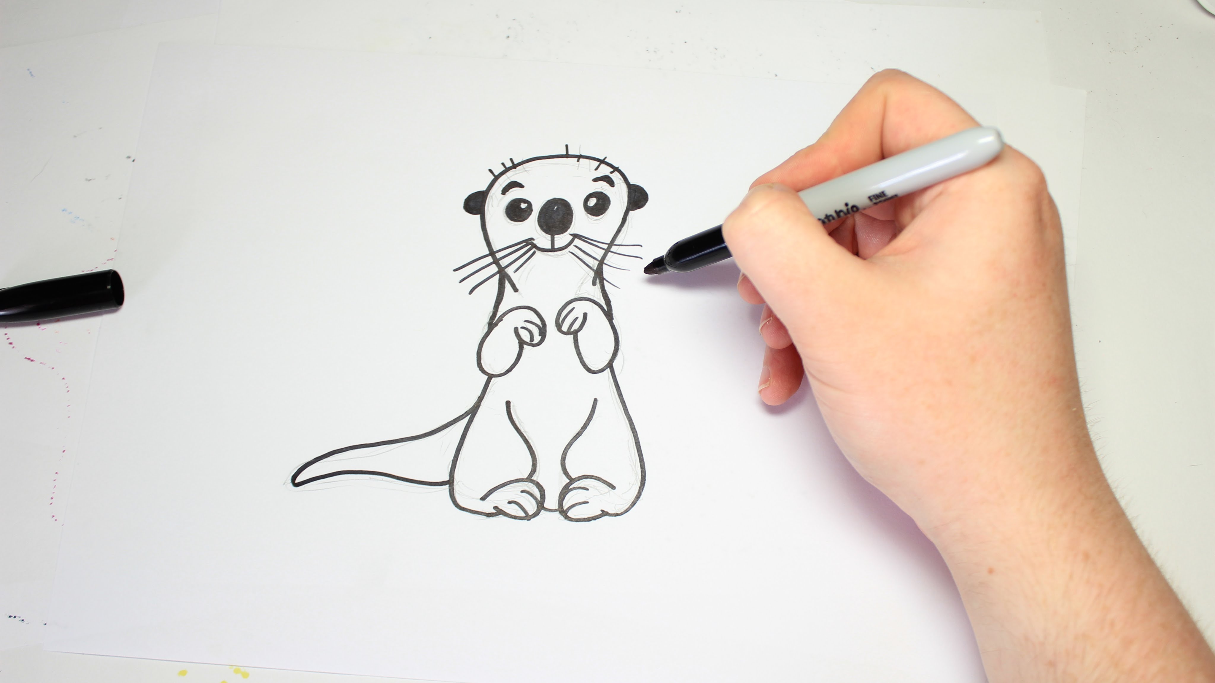 4096x2301 Easy How To Draw A Otter From Finding Dory For Kids