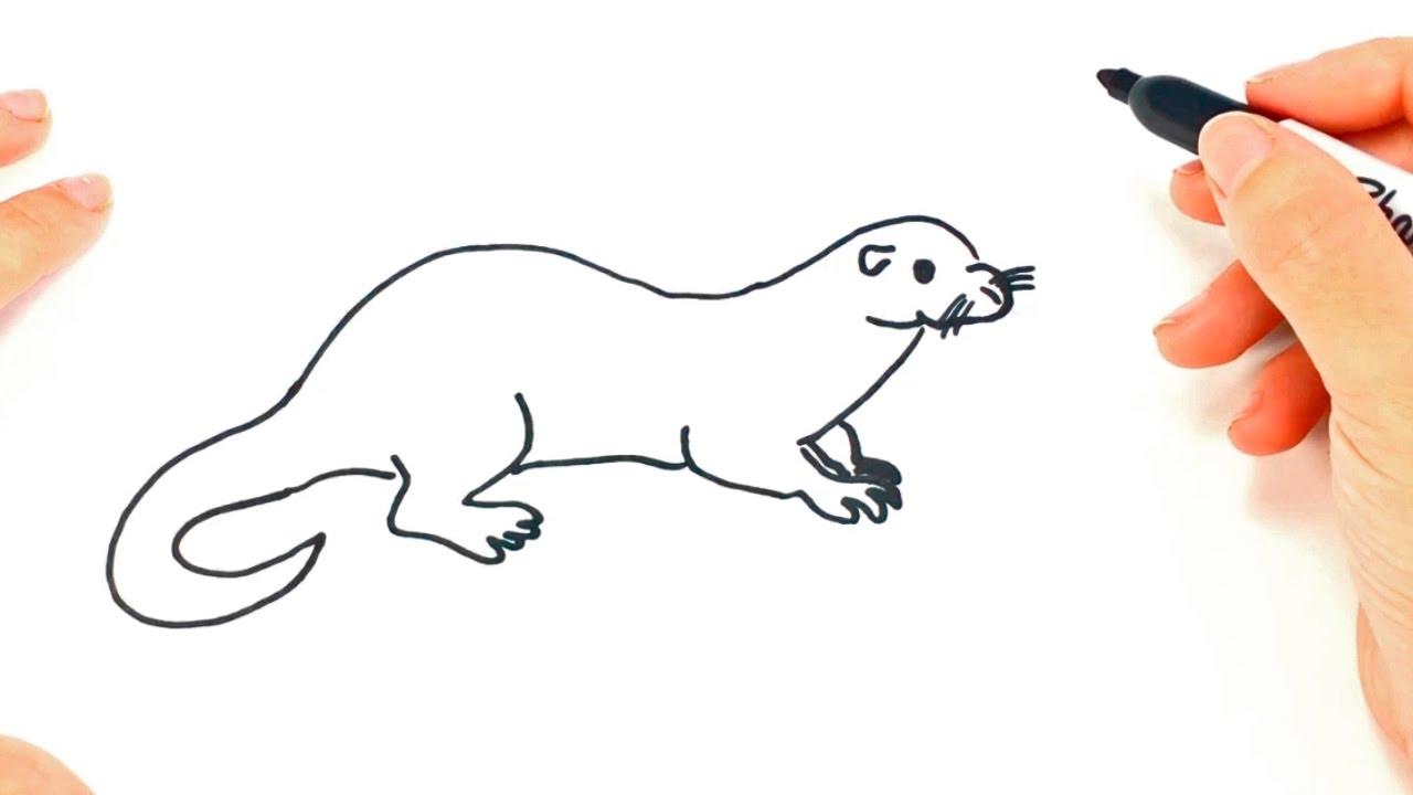 1280x720 How To Draw A Otter Step By Step Otter Drawing Lesson