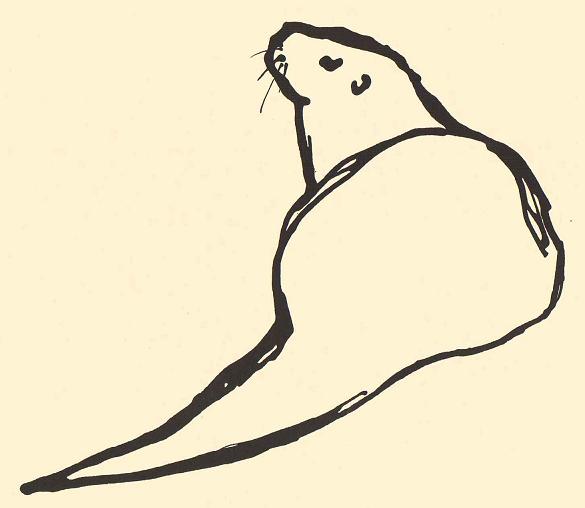 585x508 Ride The Wings Of Morning The Otter Sketchbook