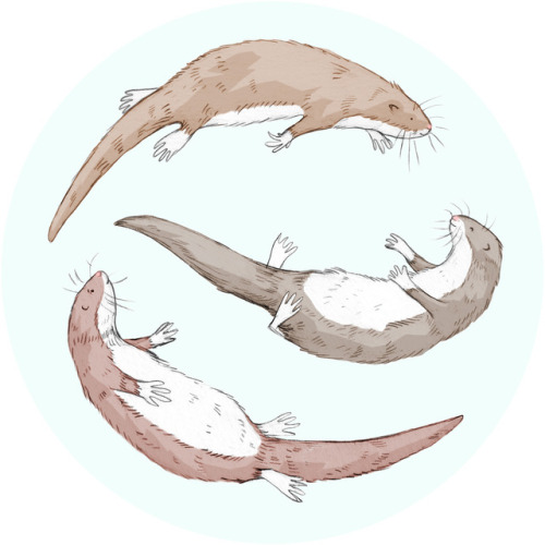 500x500 Cute Otter Drawing Tumblr