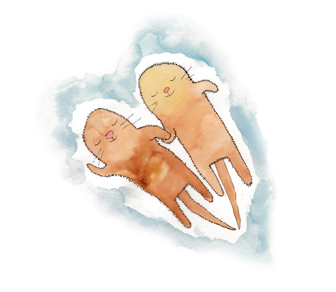 1150x1000 Sea Otters Jesses Mess