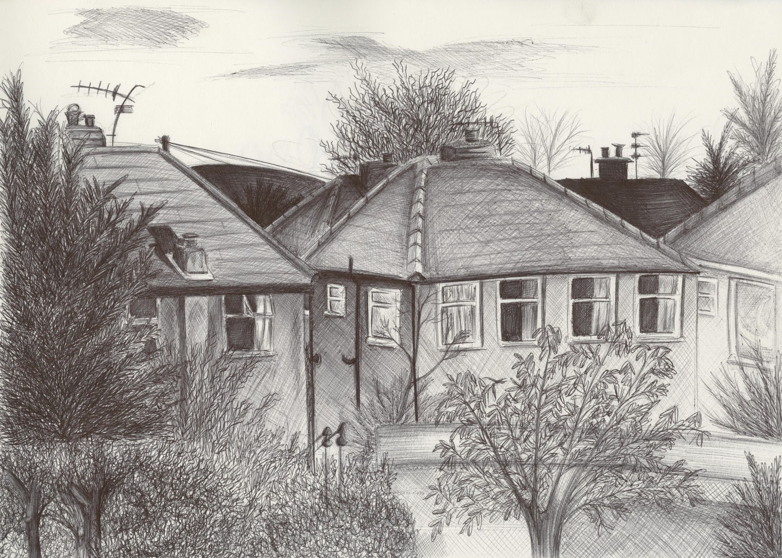 1600x1142 Kim's Observational Drawings November 2011