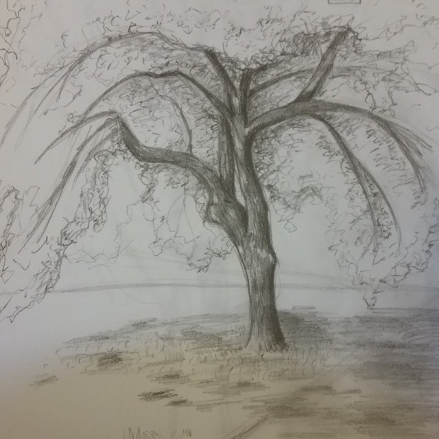 640x640 Outside Drawing By Sminn