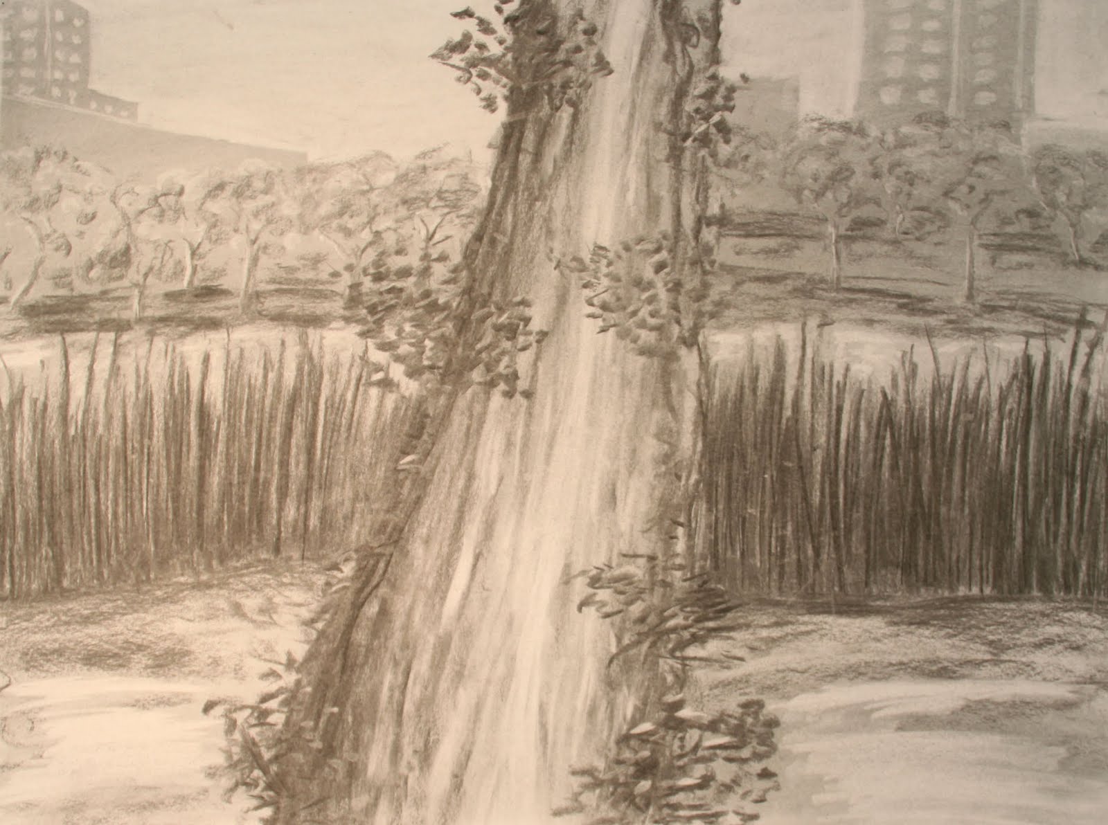 1600x1192 Anthony Chapin Drawings Outdoor Observations