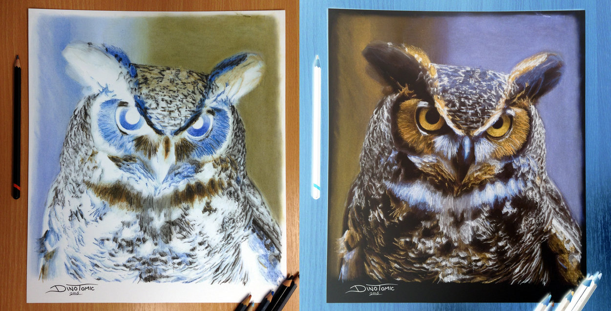 1251x638 Owl Inverted Color Pencil Drawing By Atomiccircus