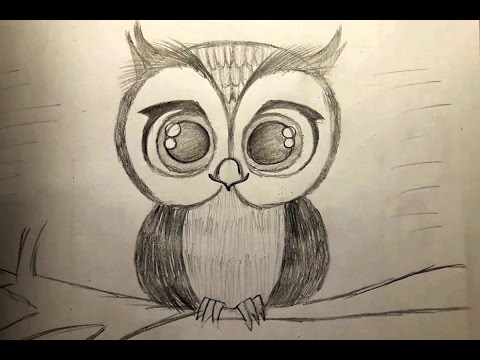 480x360 Diy How To Draw Cute Owl
