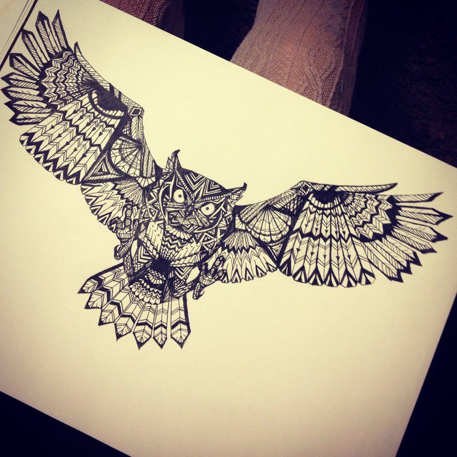 894x894 Owl Design By Cayligraham