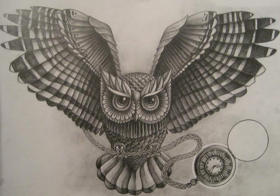 900x630 Owl By A P T