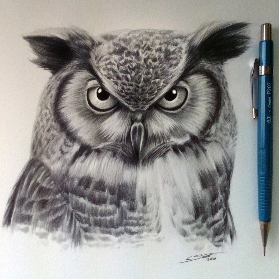 894x894 Owl Drawing By Lethalchris
