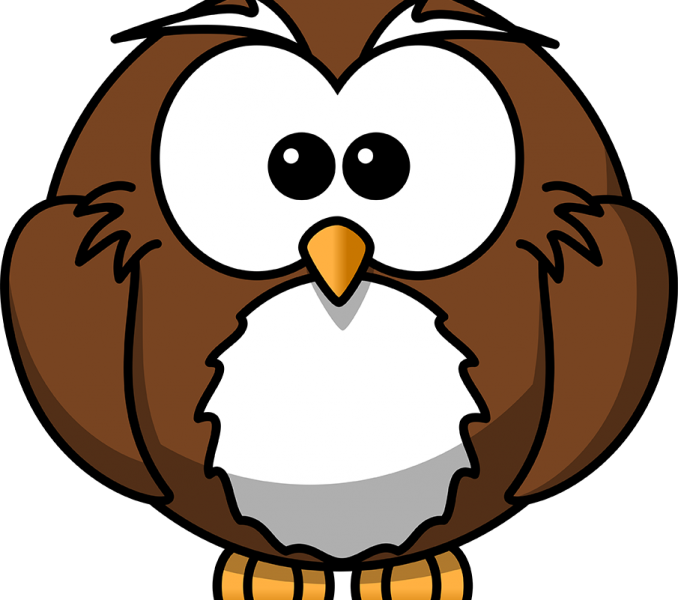 Owl Drawing Cartoon at GetDrawings | Free download