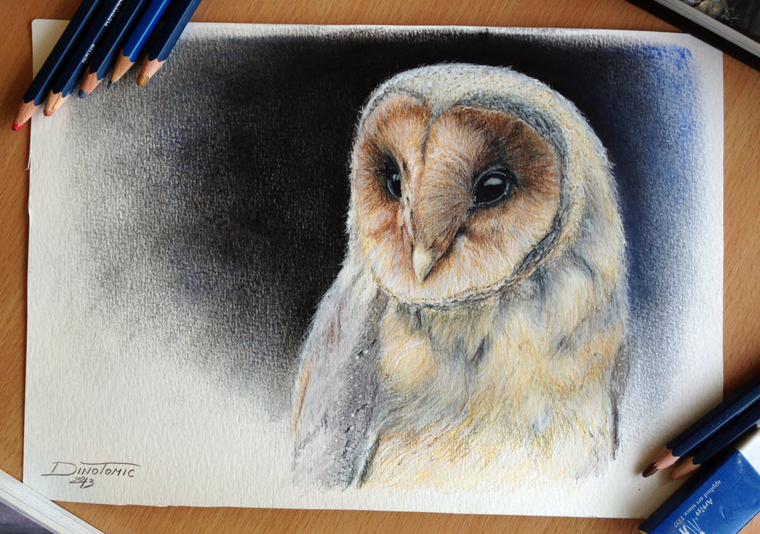 1065x749 Owl Color Pencil Drawing By Atomiccircus