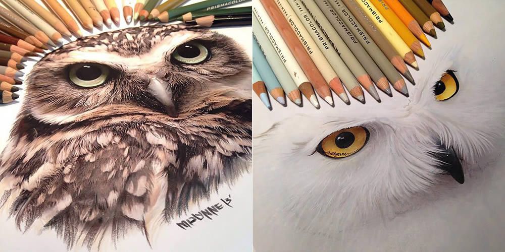 1000x500 The Owl Queen, Stormtrooper More Owl Drawings, Drawings