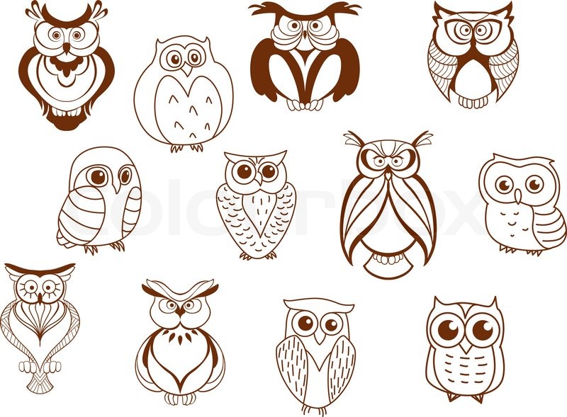 800x589 Cute Cartoon Vector Owl Characters Showing Different Species