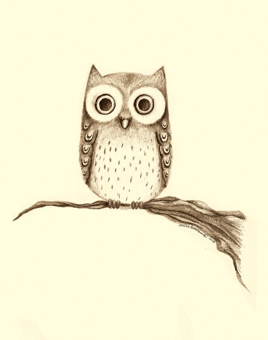 900x1139 Owl By On @ Love For Owls