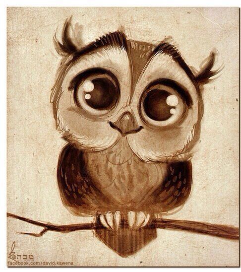 486x548 Owl Drawings Best 25 Owl Drawings Ideas On Owl Sketch
