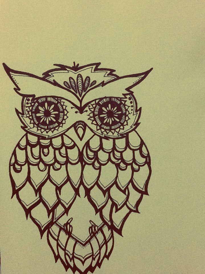 720x960 How To Draw An Owl Easy