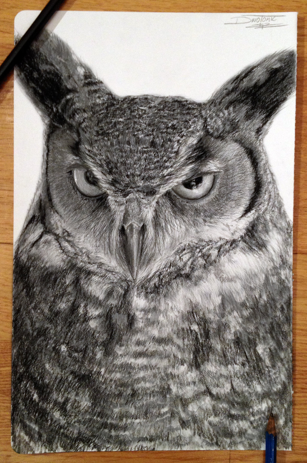 1024x1541 Owl Drawing By Atomiccircus