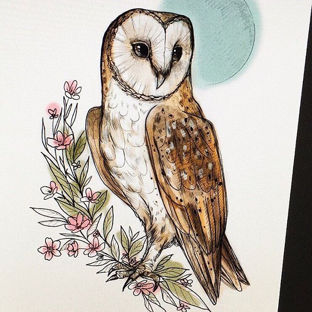 640x640 Drawings Owl 25 Beautiful Owl Sketch Ideas On Owl